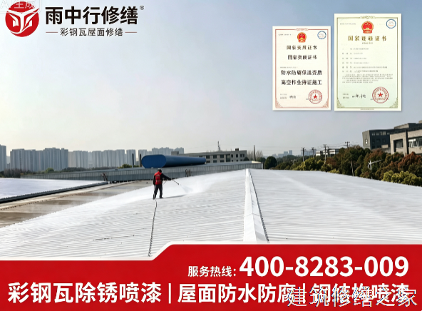 嘉兴2026桐乡市 彩钢瓦除锈翻新防腐 价格是多少钱1m²