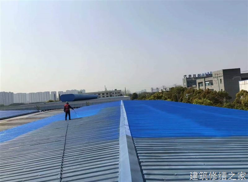 嘉兴2026秀洲区 屋面防水 排名前十的源头厂家
