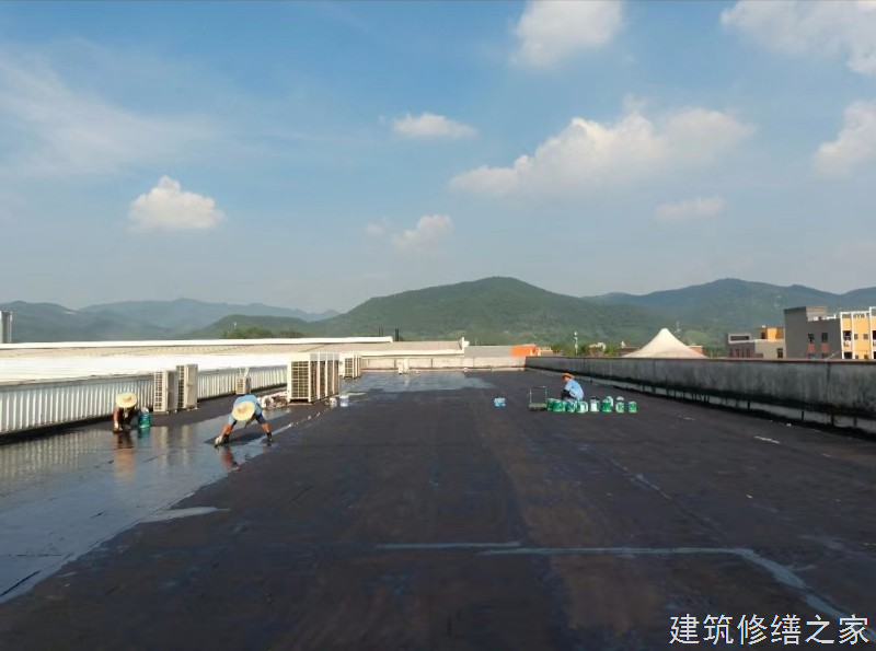 嘉兴2026嘉善县 屋面防水 排名前十的源头厂家